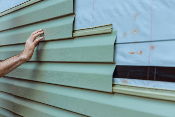 Best Fascia and Soffit Installation  in Imperial, MO